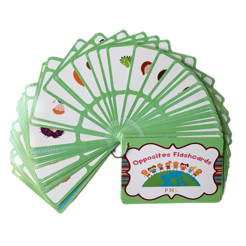 The 100 Groups Opposites Flash - Kids Education Product review and price