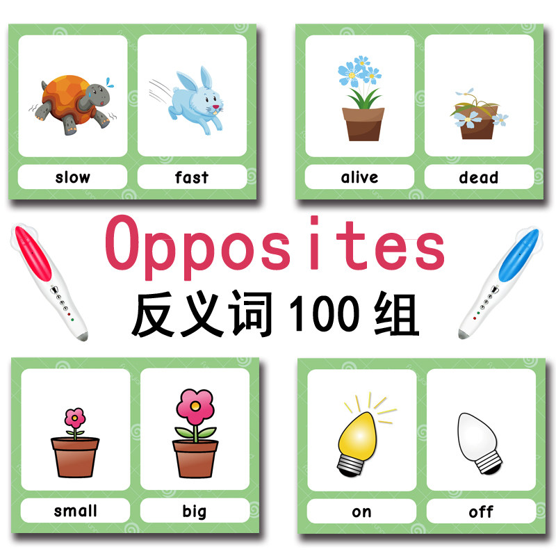 The 100 Groups Opposites Flash - Kids Education Product review and price