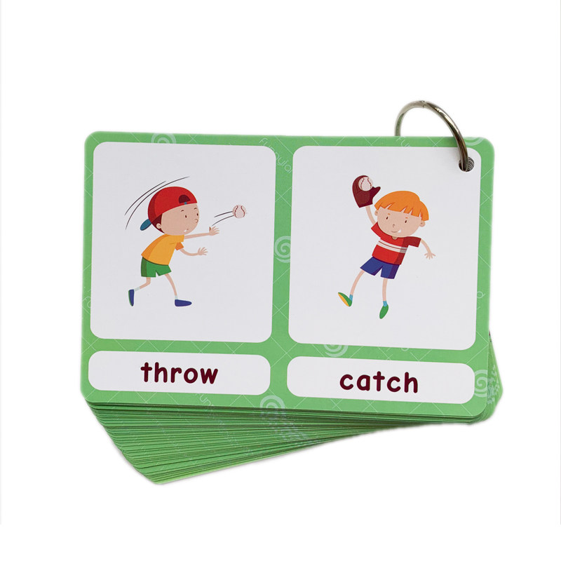 The 100 Groups Opposites Flash - Kids Education Product review and price