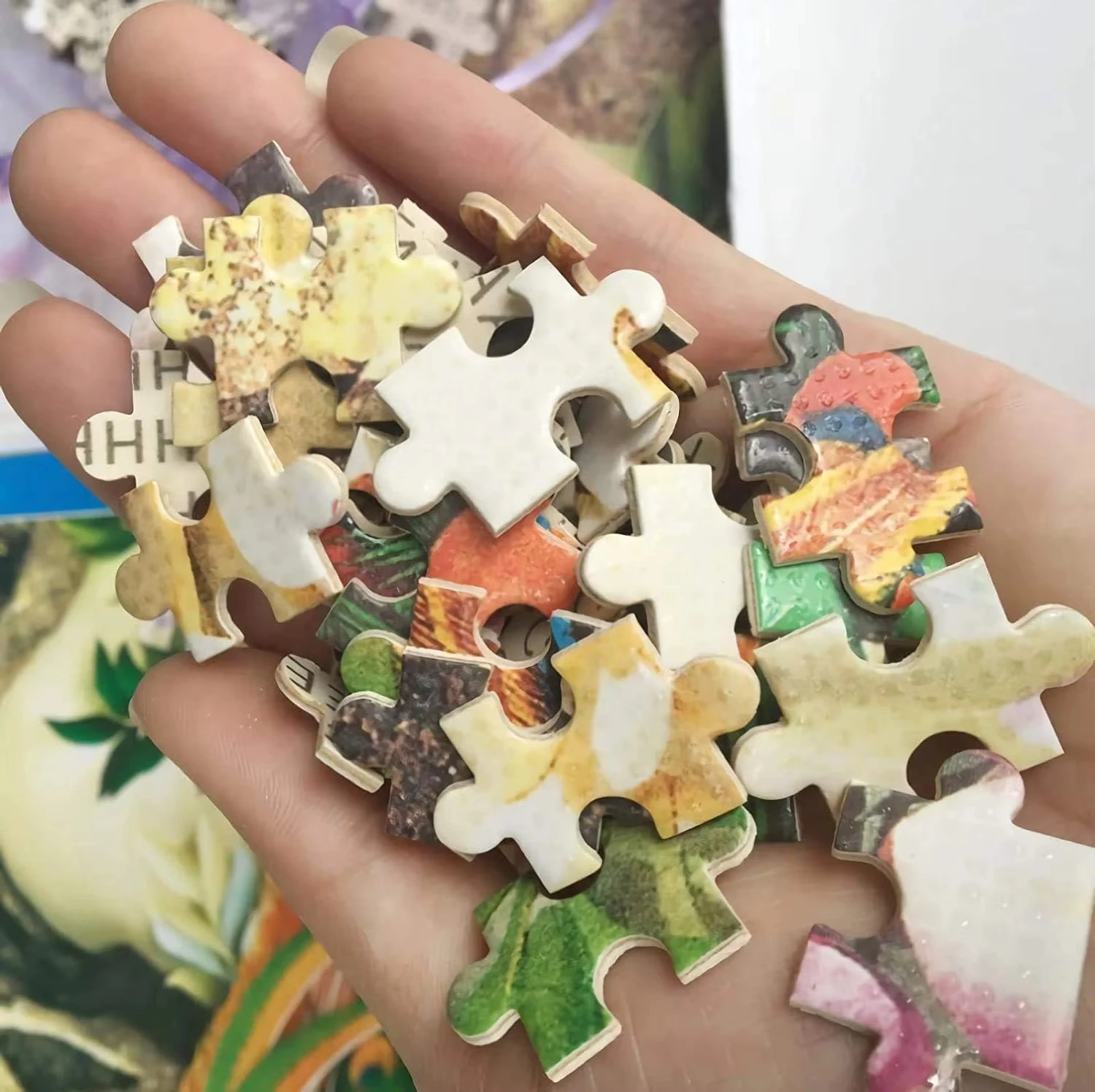 500-2000 Pieces Jigsaw Puzzle  - Kids Heaven Education review and price