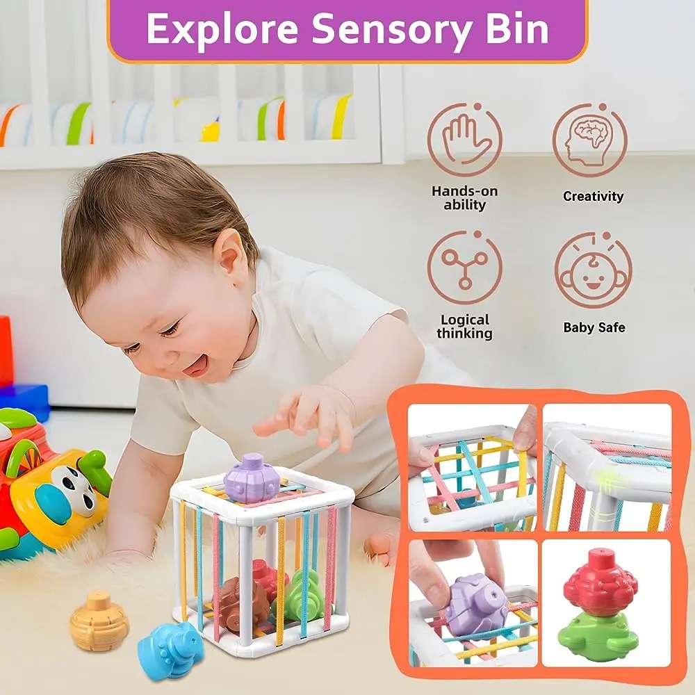 Rainbow Colorful Montessori Sh - Kids Education Product review and price