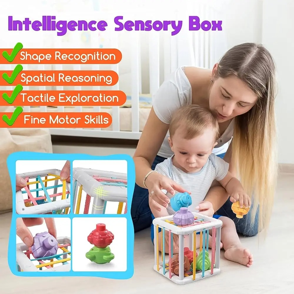 Rainbow Colorful Montessori Sh - Kids Education Product review and price