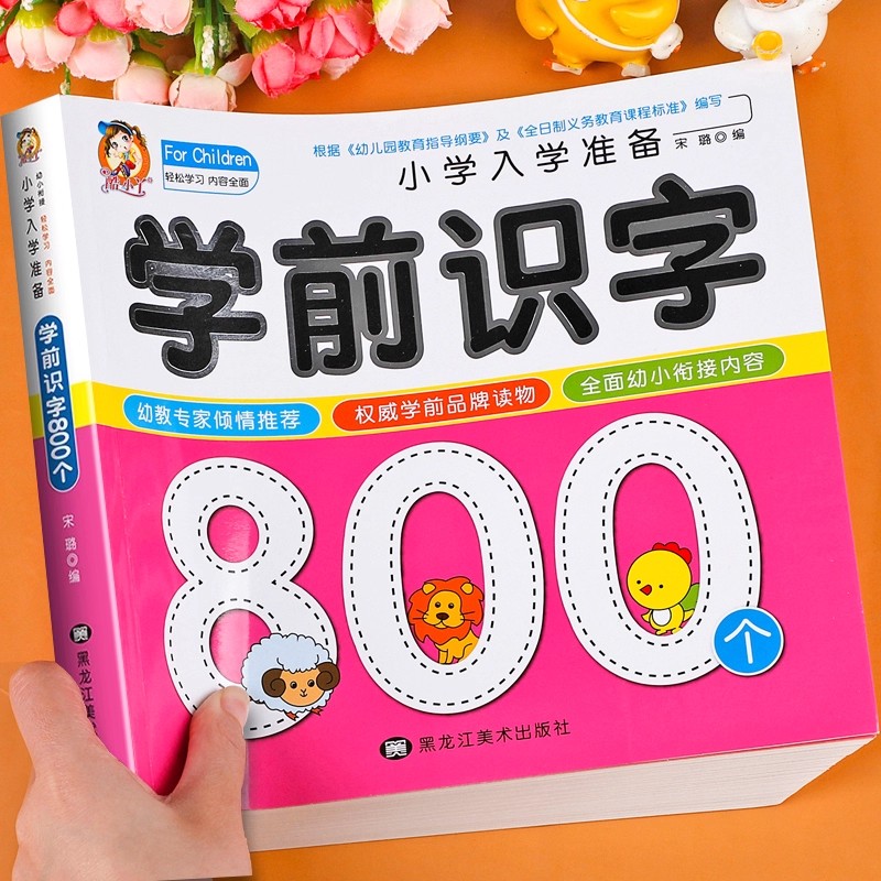 Preschool Literacy: 800 Chines - Kid Educational review and price