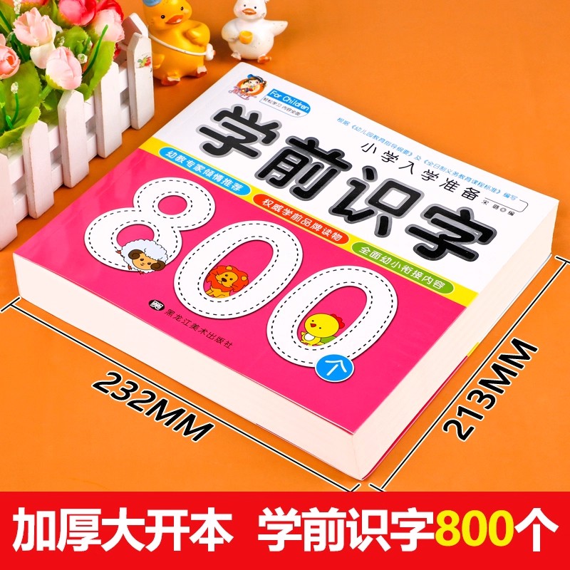 Preschool Literacy: 800 Chines - Kid Educational review and price